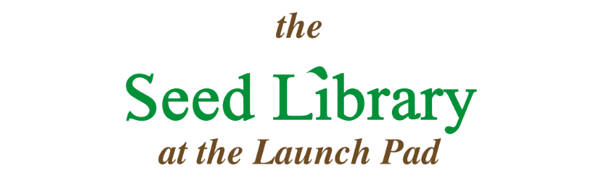 Seed Library at the Launch Pad