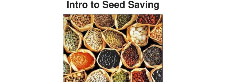 Intro to Seed Saving