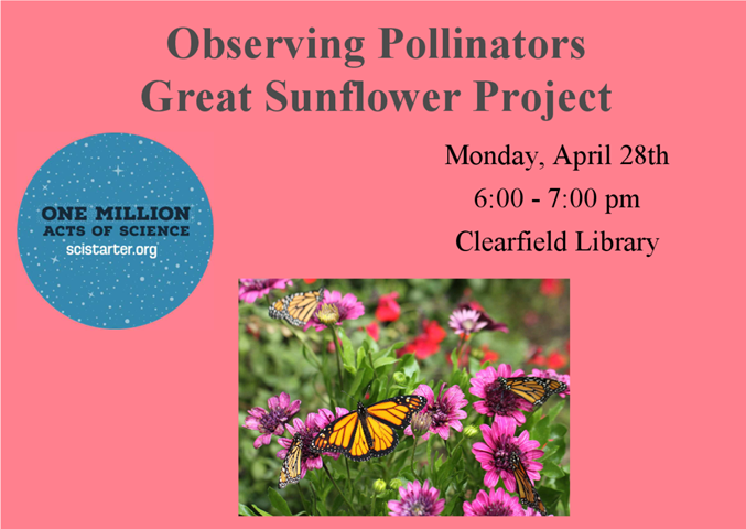 Observing pollinators great sunflower project Monday, April 28th, 2025 from 6 -7 PM