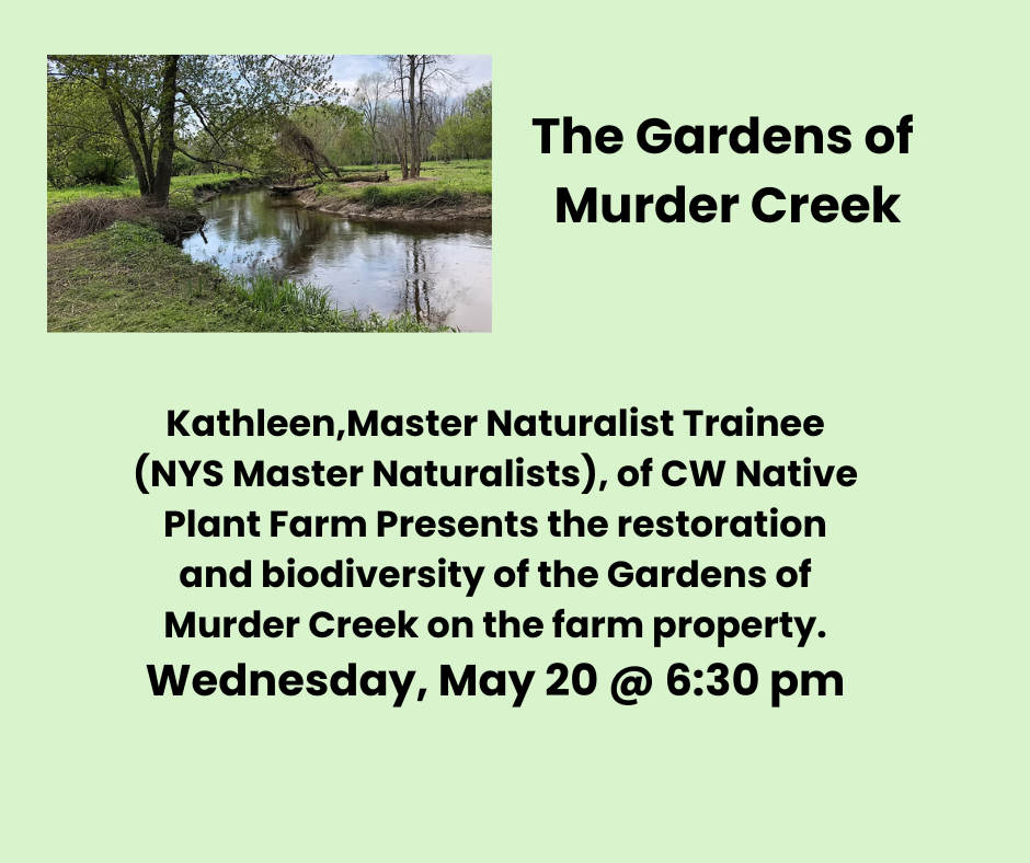 This image has been removed. For security reasons, only images from the local domain are allowed. Image removed.