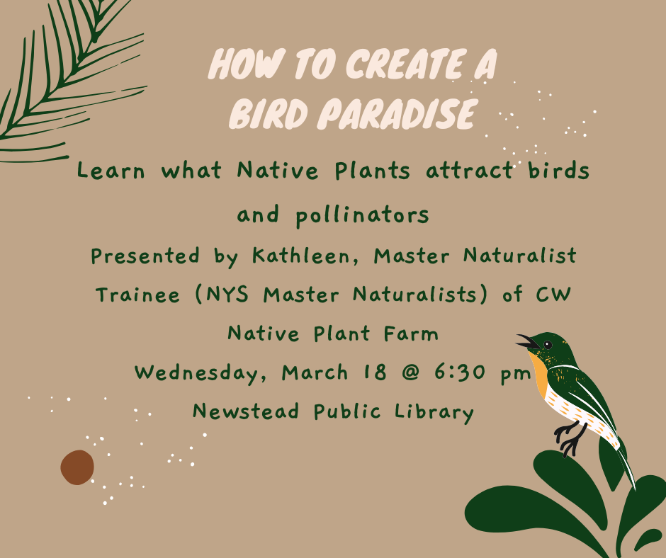 This image has been removed. For security reasons, only images from the local domain are allowed. Image removed.