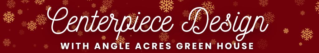 This image has been removed. For security reasons, only images from the local domain are allowed. Image removed.